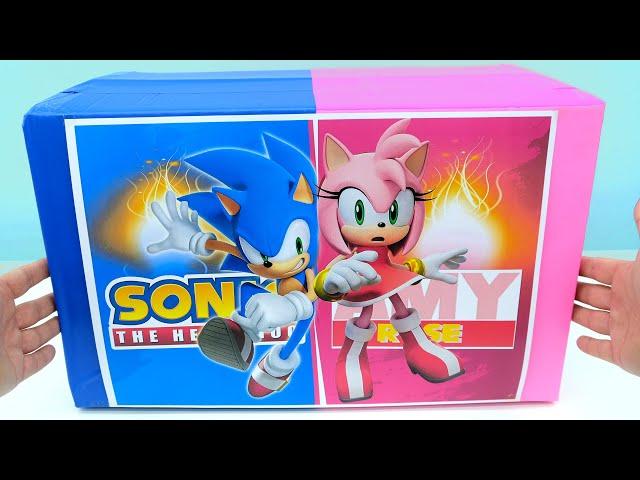 Sonic the Hedgehog and Amy Rose Unboxing Review