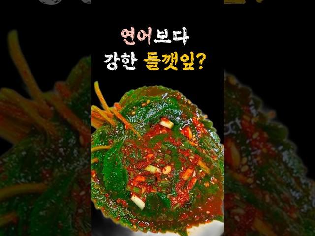 들깻잎, 정말 연어보다 건강에 좋을까? 과학이 밝힌 진실! #건강정보 #들깻잎효능 #오메가3 #중년건강 #채식 #연어vs들깻잎