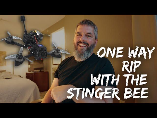 Stingy Flies the Stinger Bee from Newbeedrone: A Review