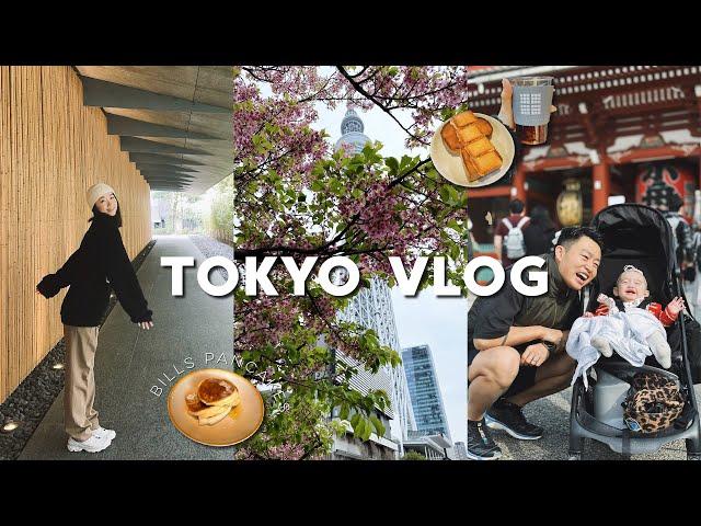 TOKYO VLOG 上｜吃到心心念念的松饼 东京天空之树｜上野公园看樱花 早餐咖啡店打卡｜一口入魂烧肉店｜根津美术馆