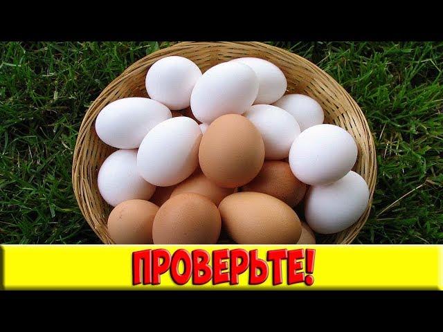 С таким способом варки скорлупа с яиц будет счищаться пулей!