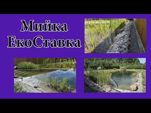 Мийка ЕкоСтавка