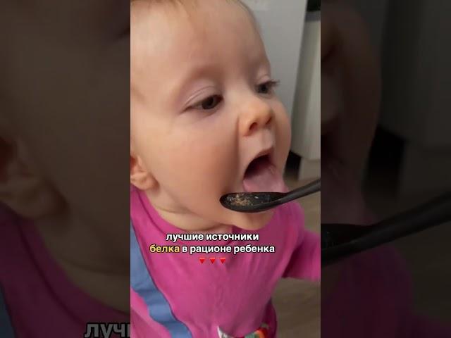 ЛУЧШИЕ ИСТОЧНИКИ БЕЛКА ДЛЯ РЕБЕНКА