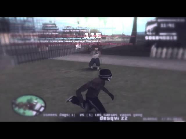 black dog