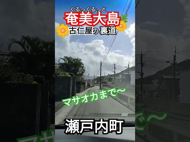 奄美大島　古仁屋裏道ぶらぶら　買い物#ごまぷる