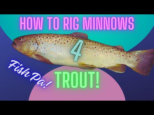 "How to Rig Minnows for Trout"