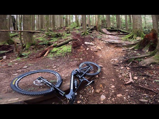 First ride on the new bike gone a bit too wild!