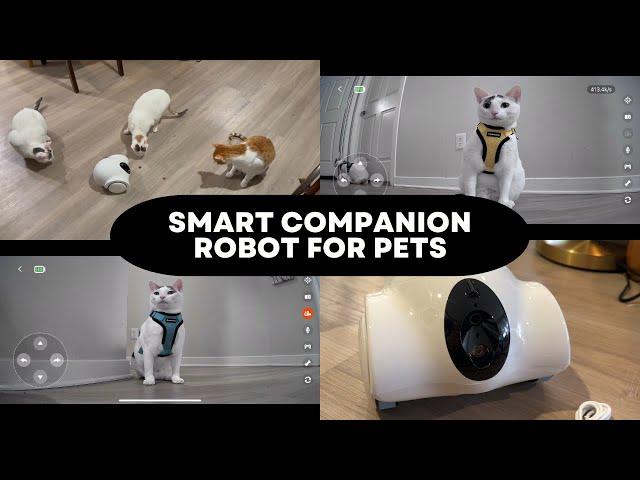 GULIGULI Smart Companion Robot For Pets - Unboxing & Review!