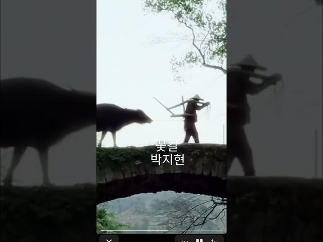 #박지현 #꽃길