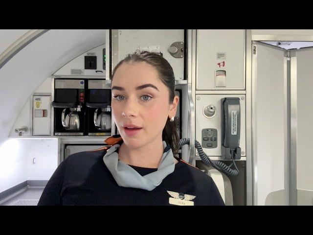 DETROIT...... a flight attendant vlog