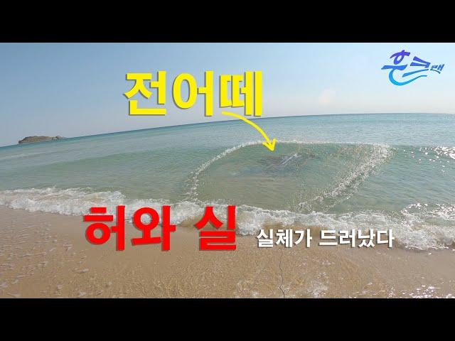 **후크맨** 쇼츠에 올린 영상의 허와 실 실체가 드러나다 #바다투망 #castnetfishing