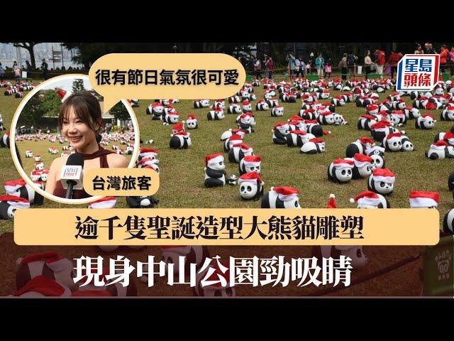 逾千隻聖誕造型大熊貓雕塑現身中山公園勁吸睛  台旅客特意來港：很有節日氣氛很可愛｜星島頭條新聞｜PANDA GO｜大熊貓｜熊貓｜展覽｜中山公園｜聖誕