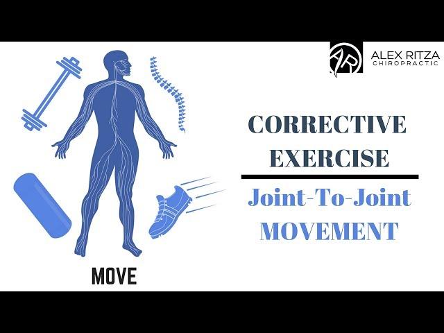 Joint - To - Joint Movement | Corrective Exercises | Corrective Care | Dr Alex Ritza