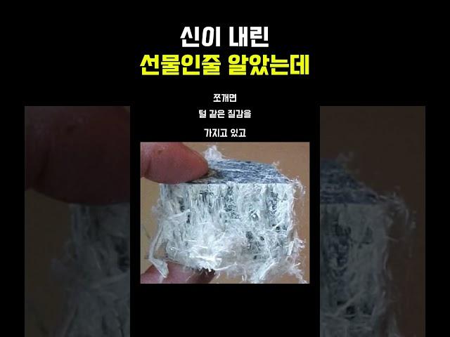 신이 내린 선물인 줄 알았는데 알고 보니 저주였던 것