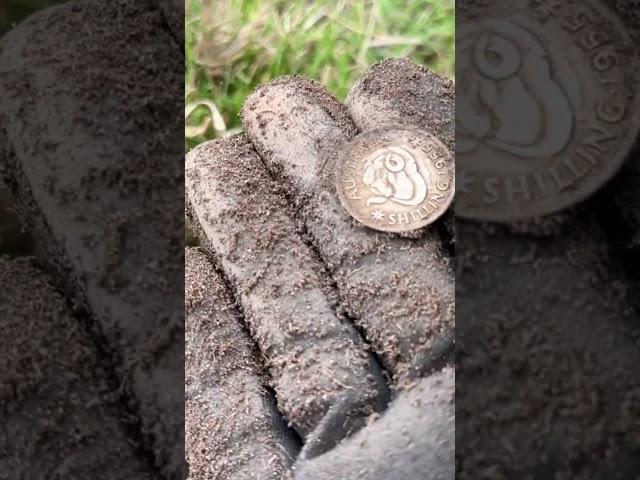 A nice coin to find while metal detecting! #shorts