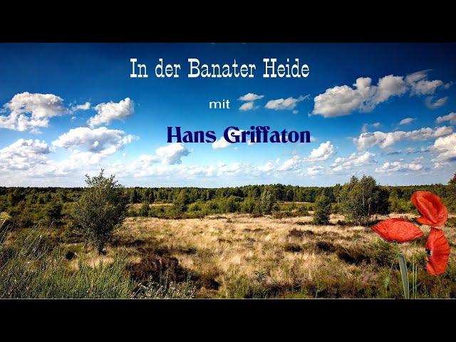 In der Banater Heide, das war eine schöne Zeit - Hans Griffaton