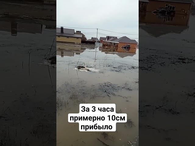 Ситуация в Приуралье. 14.00 Оренбург