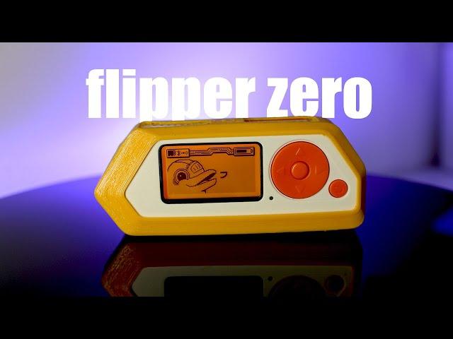 Flipper Zero: Truth or Hype?