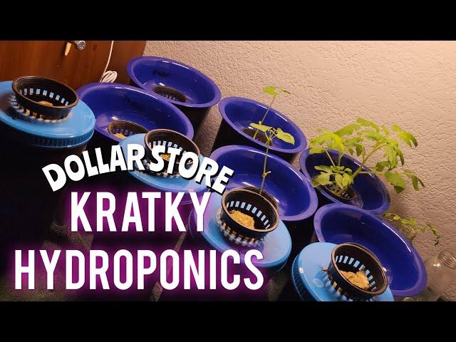 Cheap Dollar Store Kratky Hydroponic System Setup