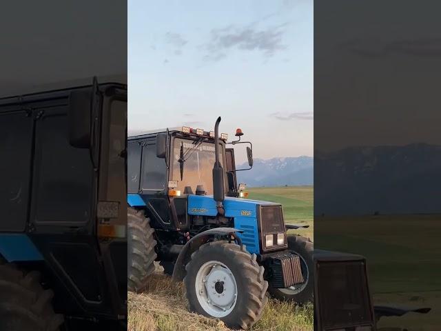 traktor mtz