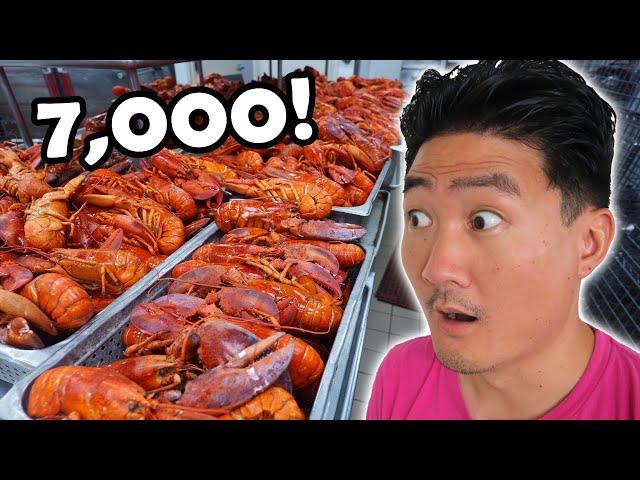 $65 ALL YOU CAN EAT LOBSTERS at AYCE BUFFET Las Vegas!