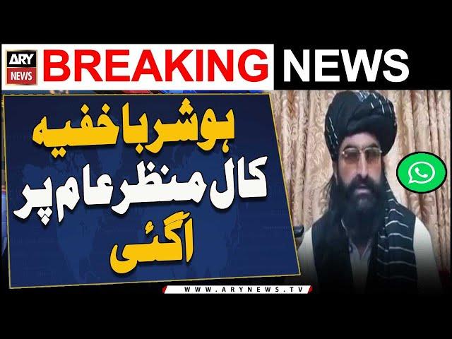 Banned Outfit TTP Chief Noor Wali Mehsud and Gandapur Audio Leak | ARY Breaking News