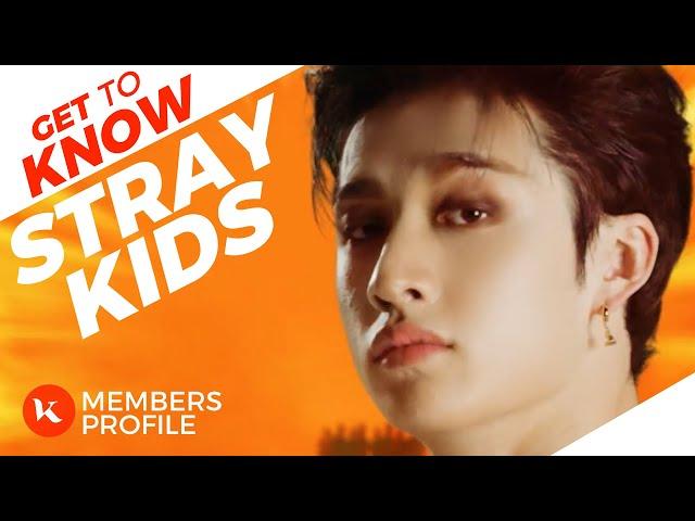 Stray Kids (스트레이 키즈) Members Profile & Facts (Birth Names, Positions etc..) [Get To Know K-Pop]