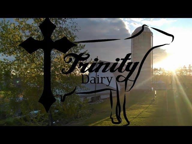 Welcome To Trinity Dairy-Reintroduction