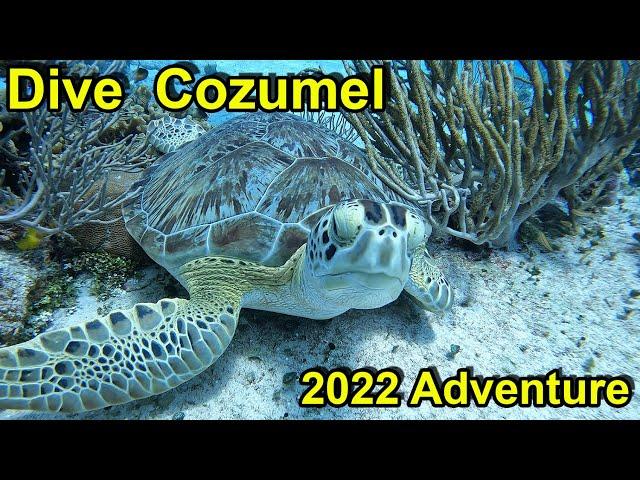 Cozumel 2022 Adventure & Guide