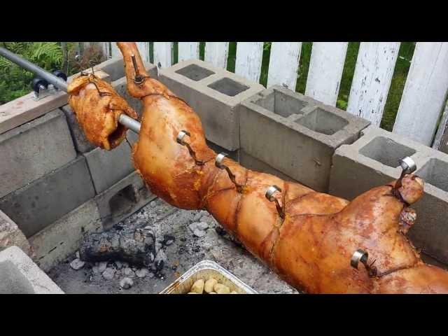 DIY home made backyard Pig and Chicken rotisserie