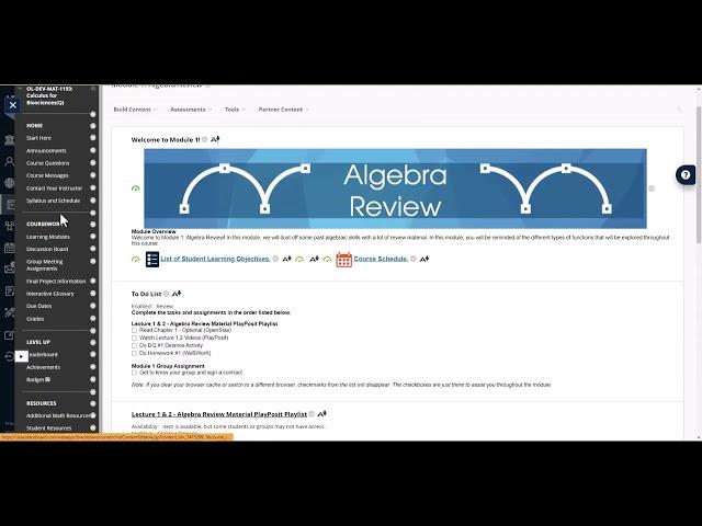 WeBWorK Instructions