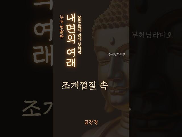 내면의 여래 | 모든 존재 안의 부처성| | 금강경 | 부처님말씀 | 명상, 명언, 마음치유, 인생지혜