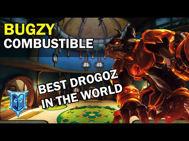 Best Drogoz Player in The World bugzy Paladins Competitive (Pro Player) COMBUSTIBLE