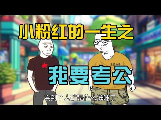 小粉红猴子的一生，考公篇（上）｜小粉红的一生｜山道猴子｜wojak