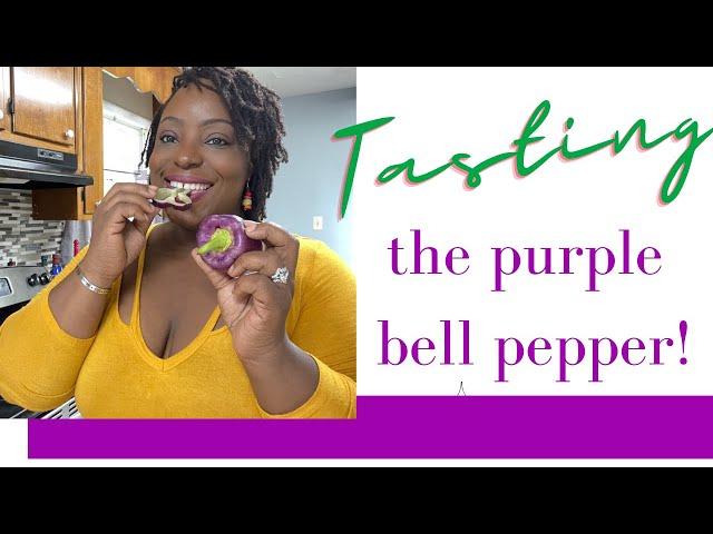 TASTING Purple Bell Pepper #Shorts