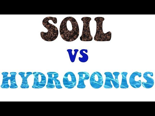 Soil vs Hydro Part 2: hydroponic system types