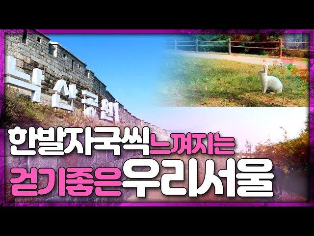 한 발자국씩 느껴지는 걷기 좋은 우리 서울 [서울 영상 크리에이터]