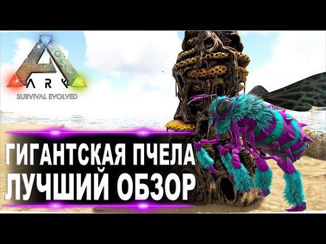 Гигантская пчела и мёд (Giant bee) в АРК. Лучший обзор приручение и способности  в ark.