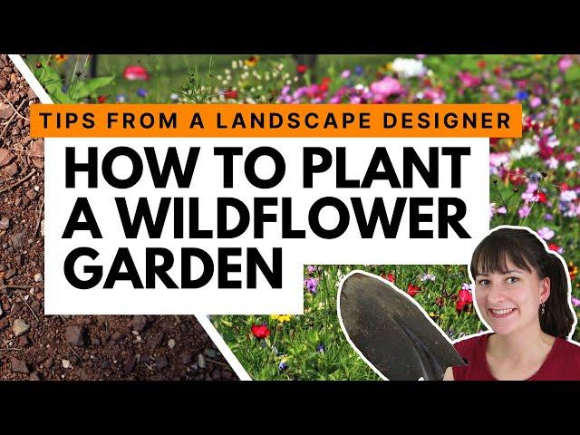 How to start a wildflower garden  Advice from a landscape designer