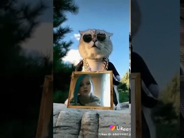 Алина малина