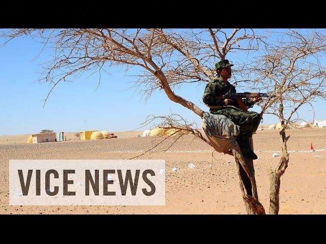 Escaping Moroccan Occupation: The Sahara's Forgotten War (Part 1)