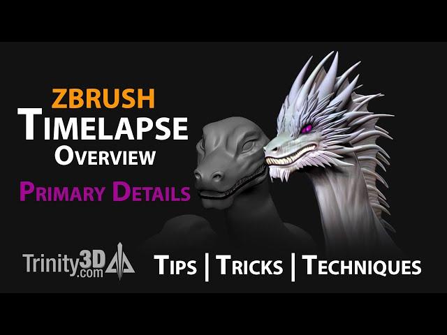 Dragon Timelapse Overview | Primary Details | Trinity3DTV