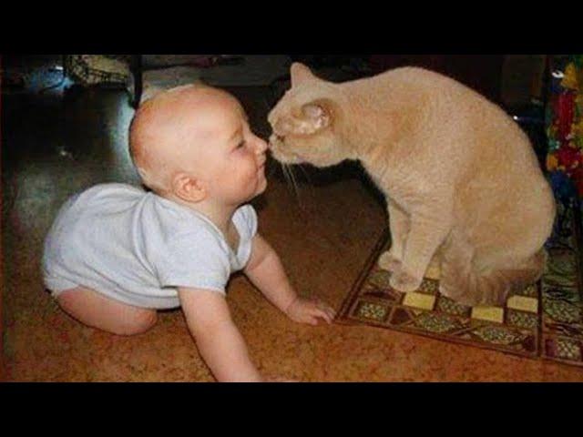 When cats and babies become first friends ️Cute Cats and Little Human