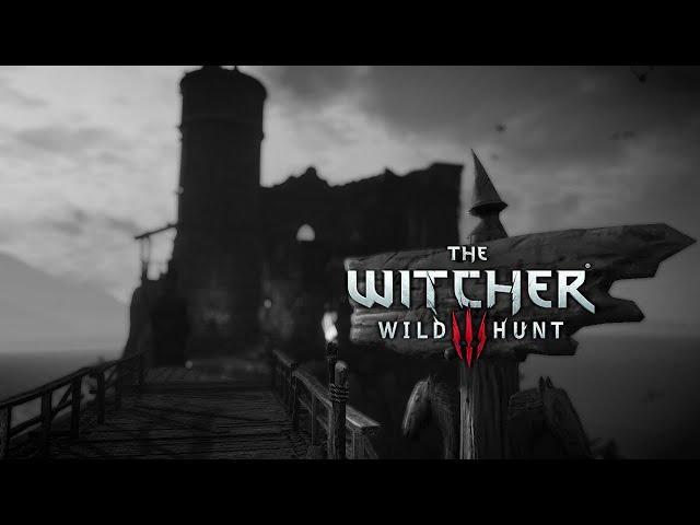 The Witcher 3: Wild Hunt 'A Bridge Too Far' (Black and White version) [HD]