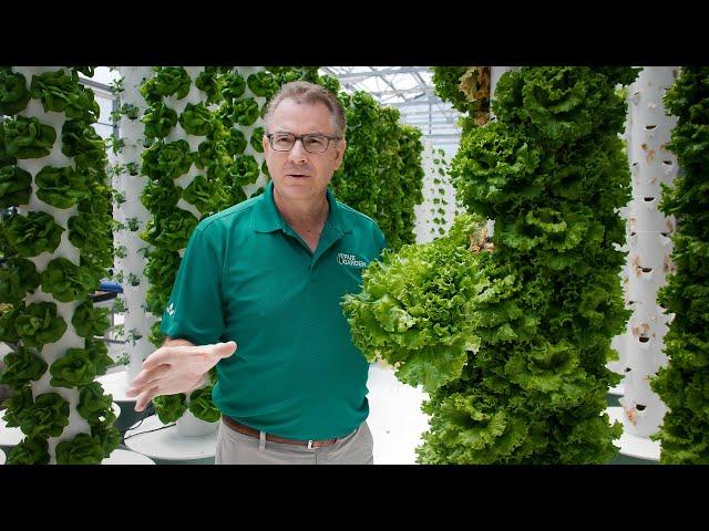 Growing Plants With 90% Less Water | True Garden