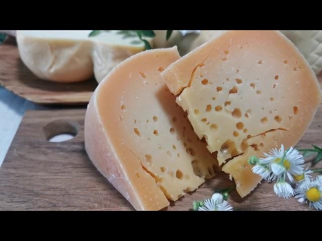 Как сделать сливочное масло на закваске / Большая дегустация Сыра
