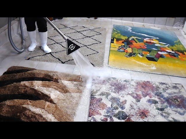 Washing Four Different Rugs at Once | ASMR Satisfying Carpet Cleaning 