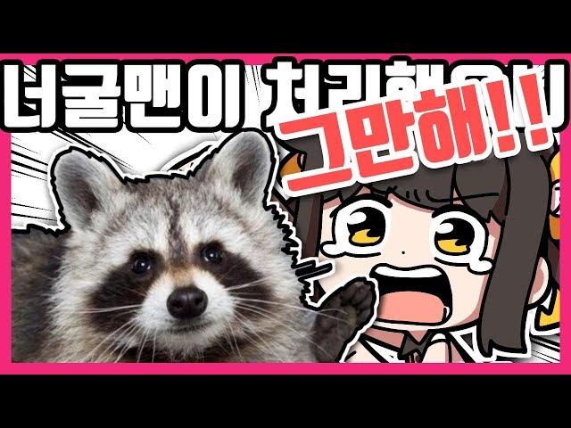 【 탬탬버린 】 - 아무튼 너굴맨이 처리했으니 안심하라구~! ^ -')b