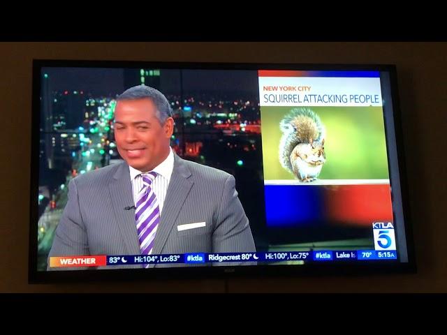 Deez Nuts KTLA