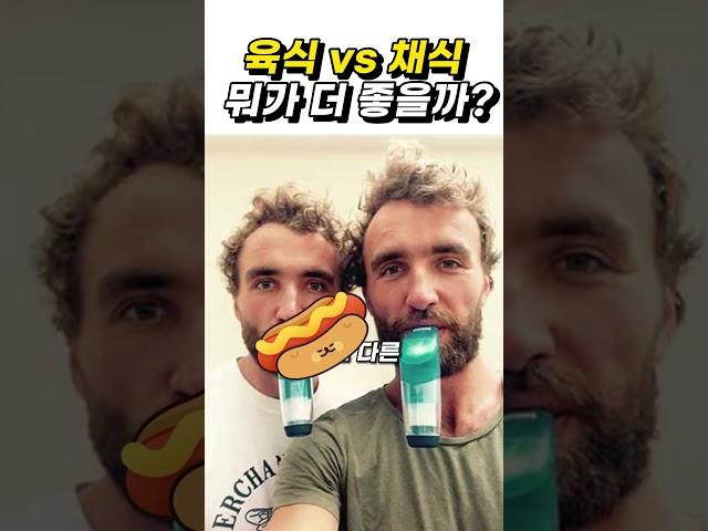 육식 vs 채식 (쌍둥이 12주 테스트)